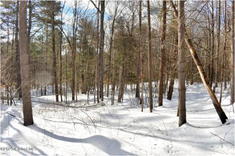 L93 Highview Lane Wevertown NY 12886