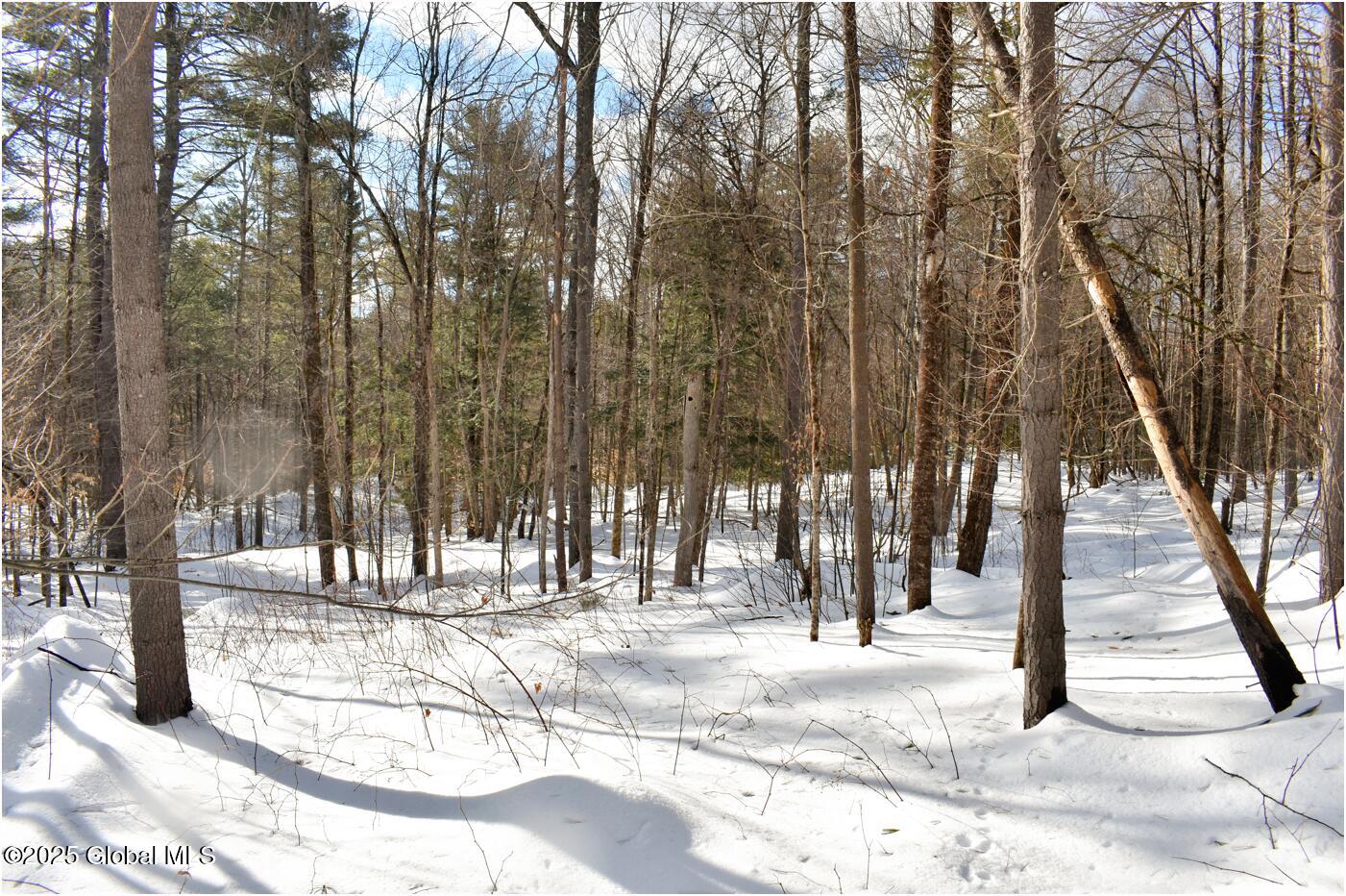 L93 Highview Lane Wevertown NY 12886