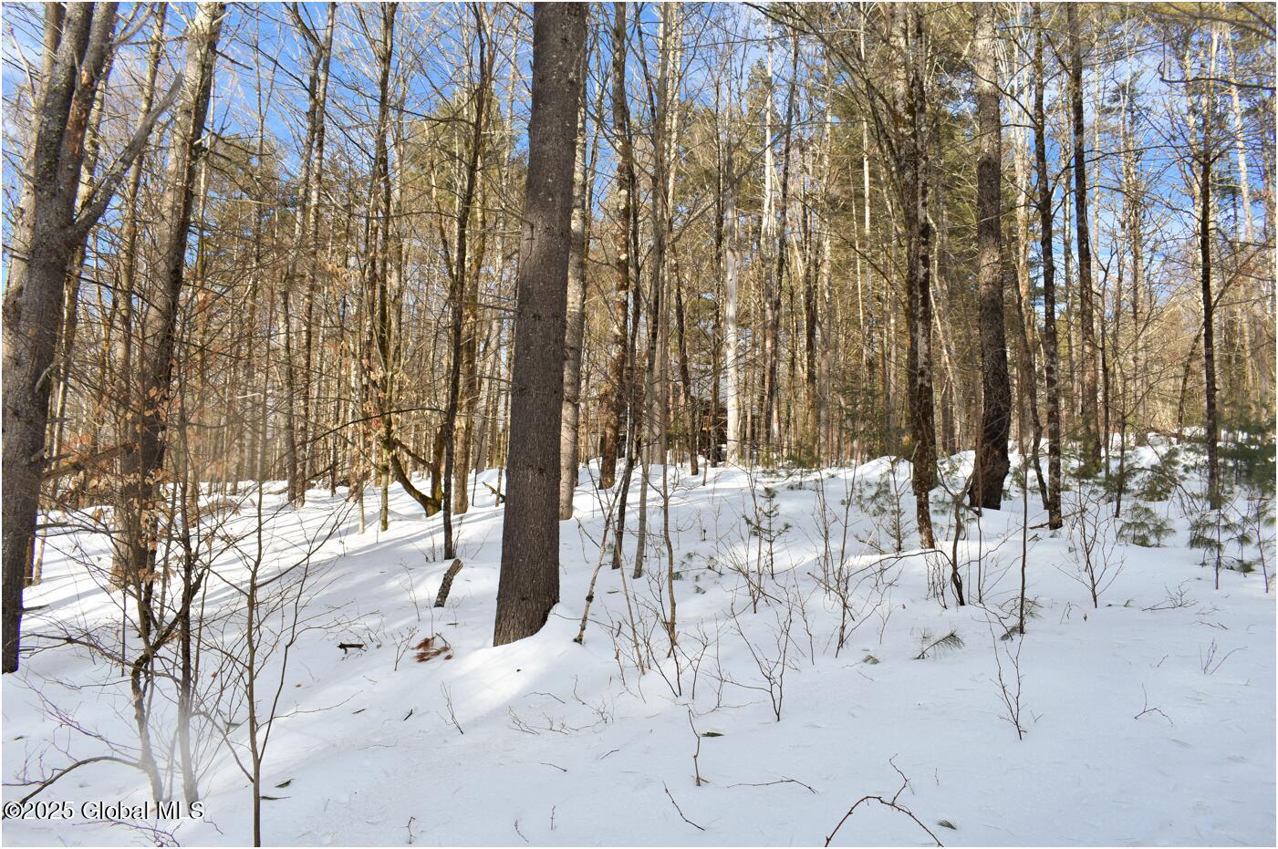 L93 Highview Lane Wevertown NY 12886