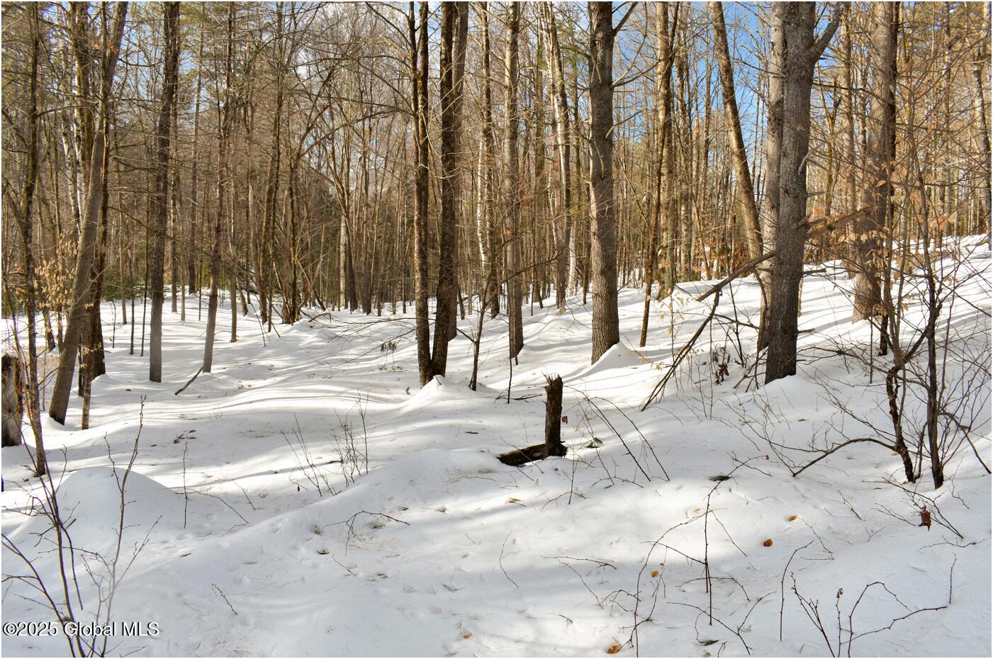 L93 Highview Lane Wevertown NY 12886