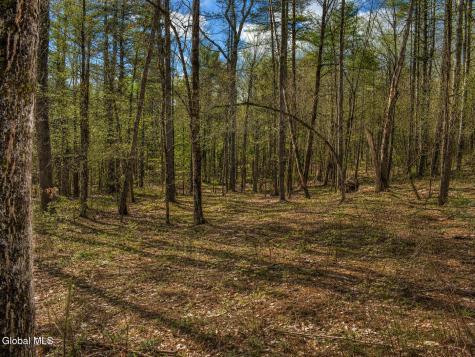L93 Highview Lane Wevertown NY 12886