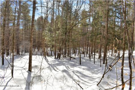 L93 Highview Lane Wevertown NY 12886