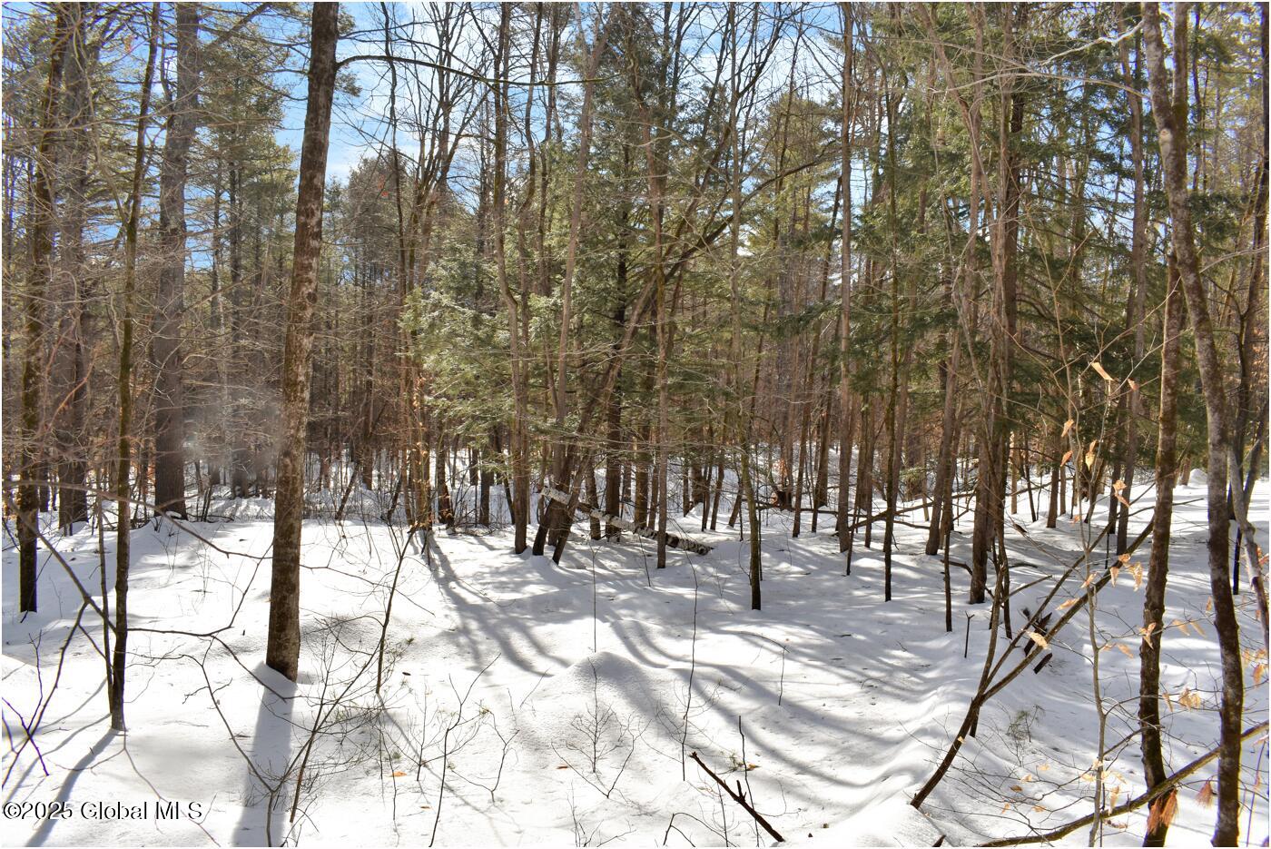 L93 Highview Lane Wevertown NY 12886