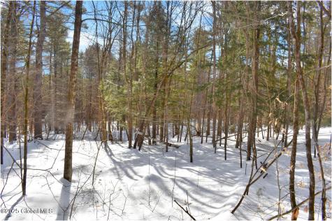 L93 Highview Lane Wevertown NY 12886
