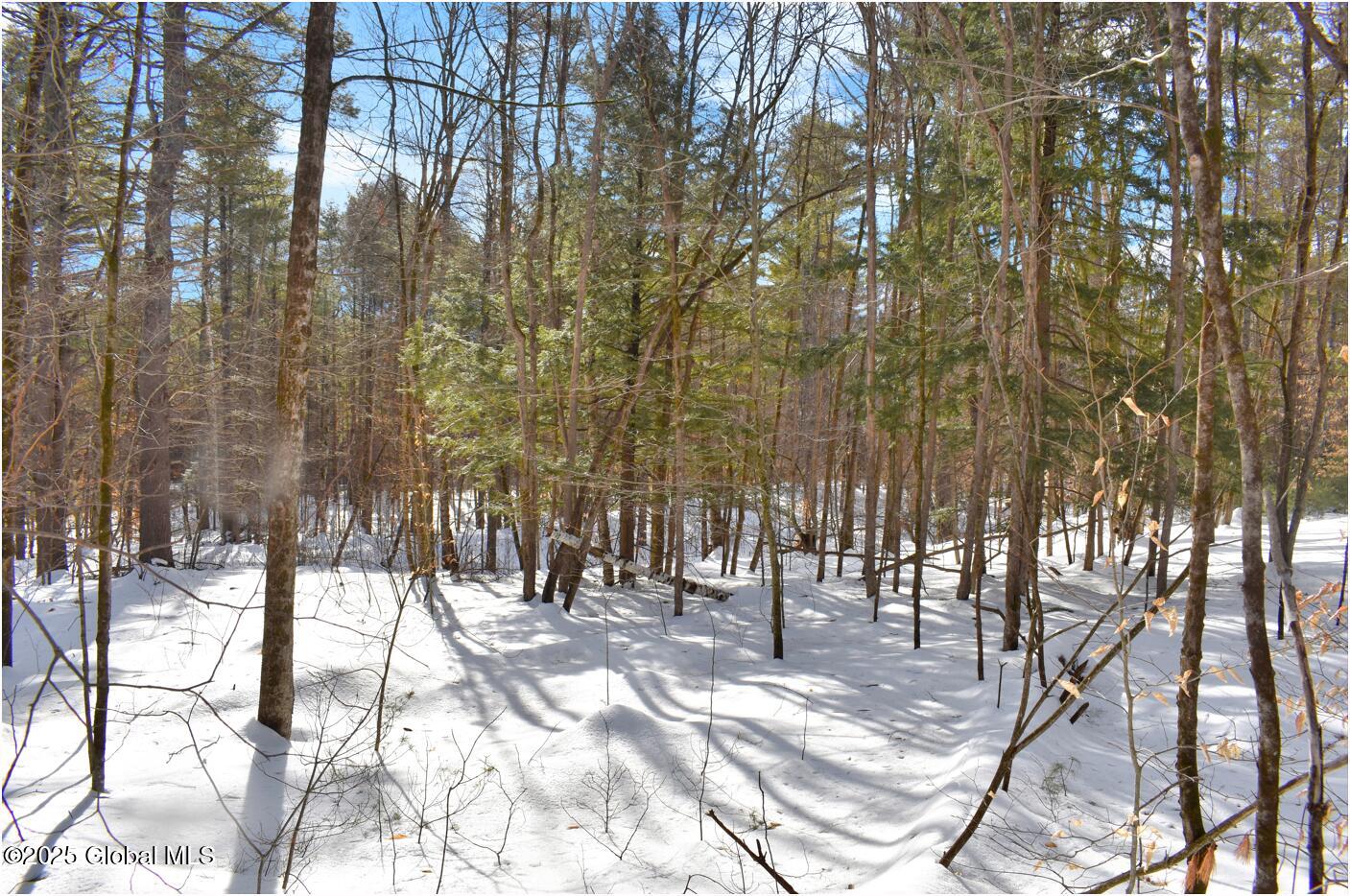 L93 Highview Lane Wevertown NY 12886