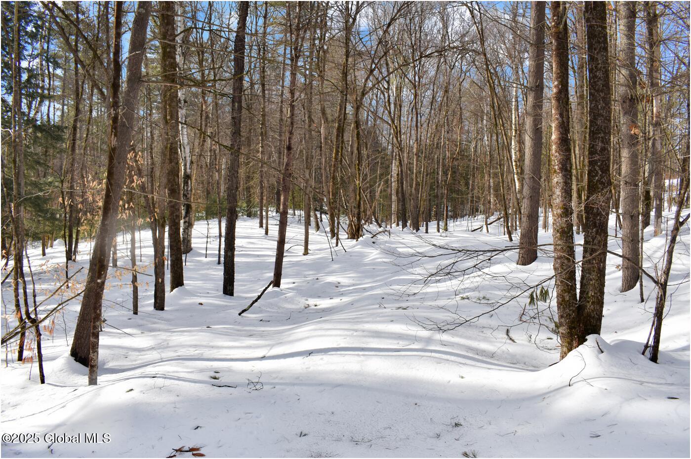 L93 Highview Lane Wevertown NY 12886