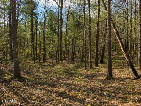 L93 Highview Lane Wevertown NY 12886