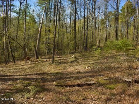 L93 Highview Lane Wevertown NY 12886