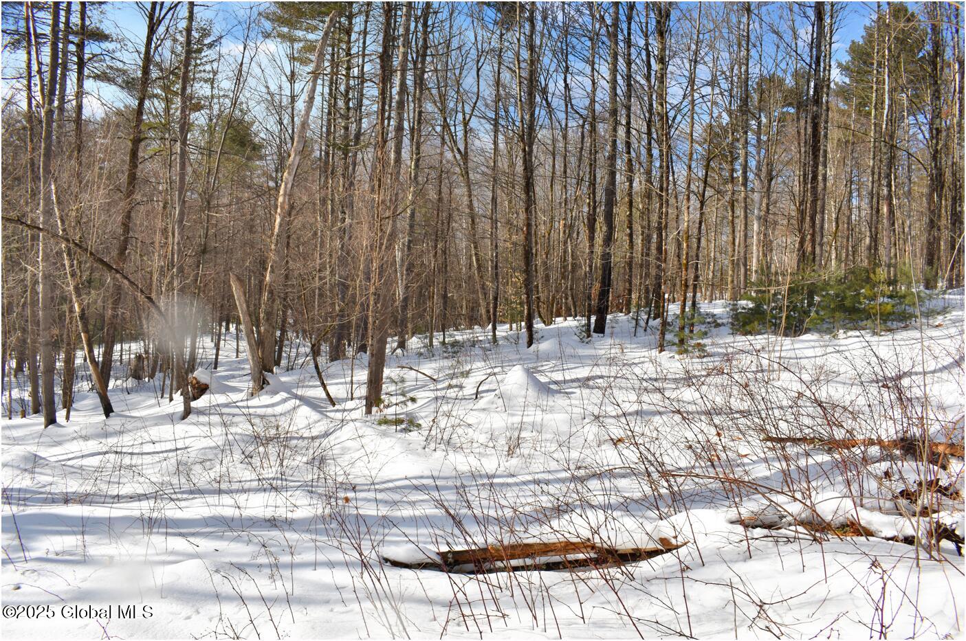 L93 Highview Lane Wevertown NY 12886