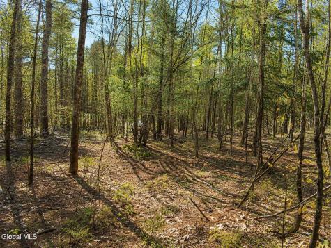 L93 Highview Lane Wevertown NY 12886