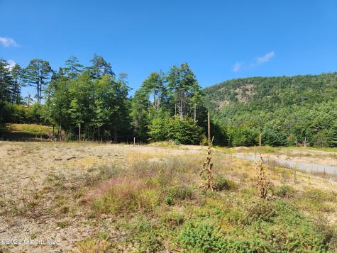 4 Blackberry Lane Brant Lake NY 12815