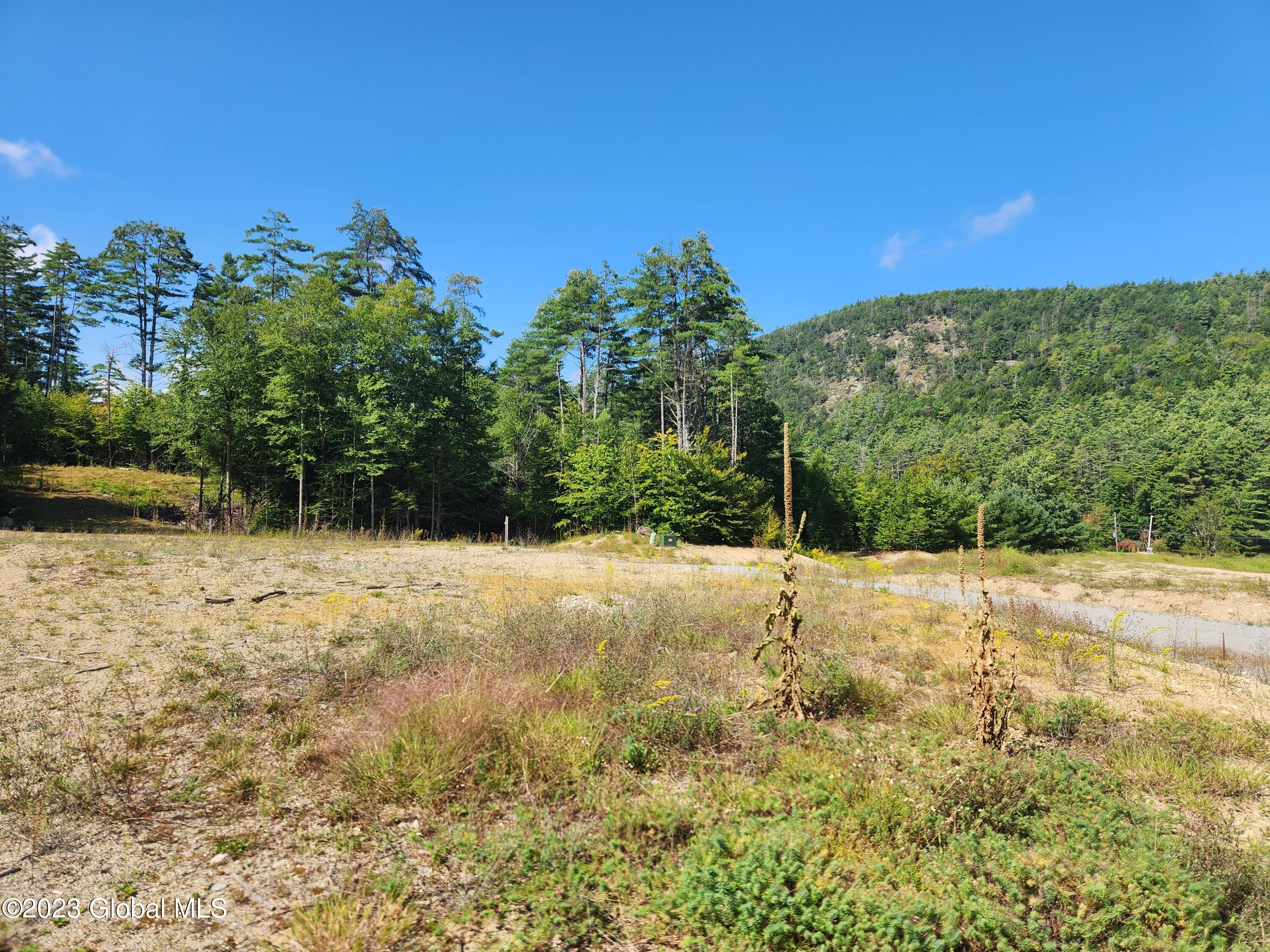 4 Blackberry Lane Brant Lake NY 12815