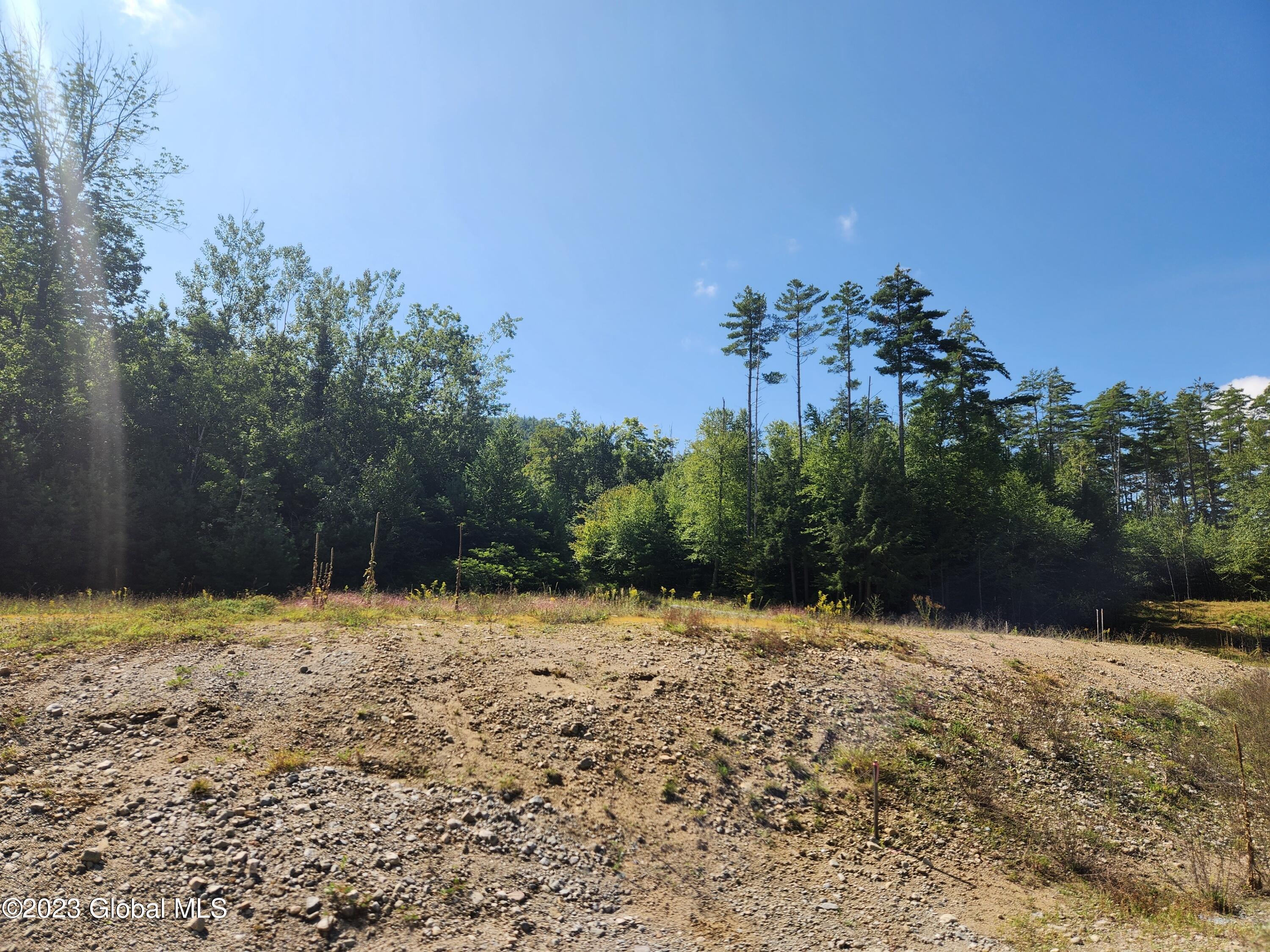 4 Blackberry Lane Brant Lake NY 12815
