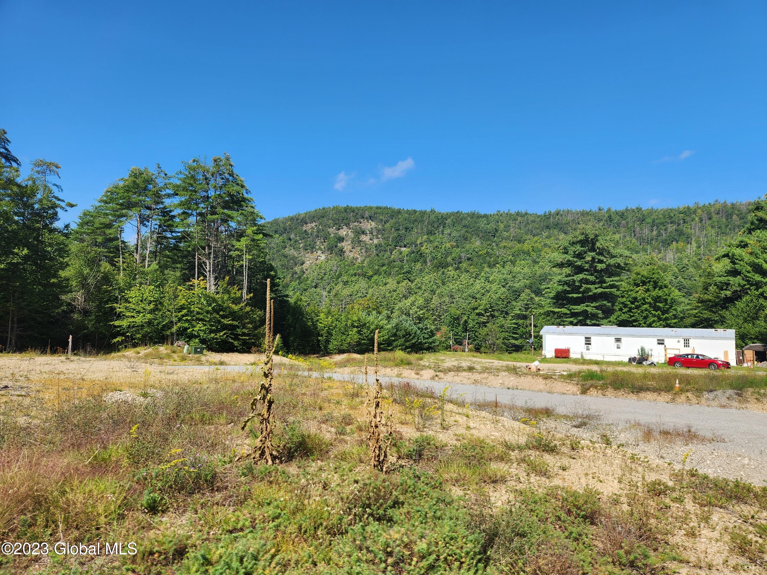 4 Blackberry Lane Brant Lake NY 12815