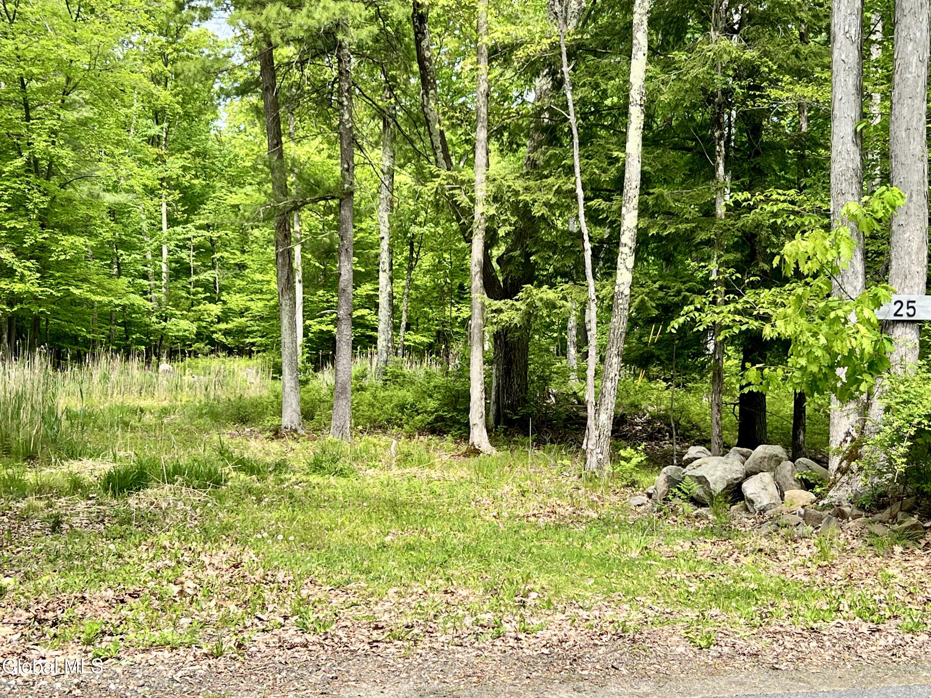 25 Catlin Road Averill Park NY 12018