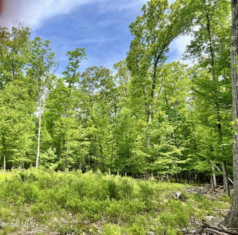 25 Catlin Road Averill Park NY 12018