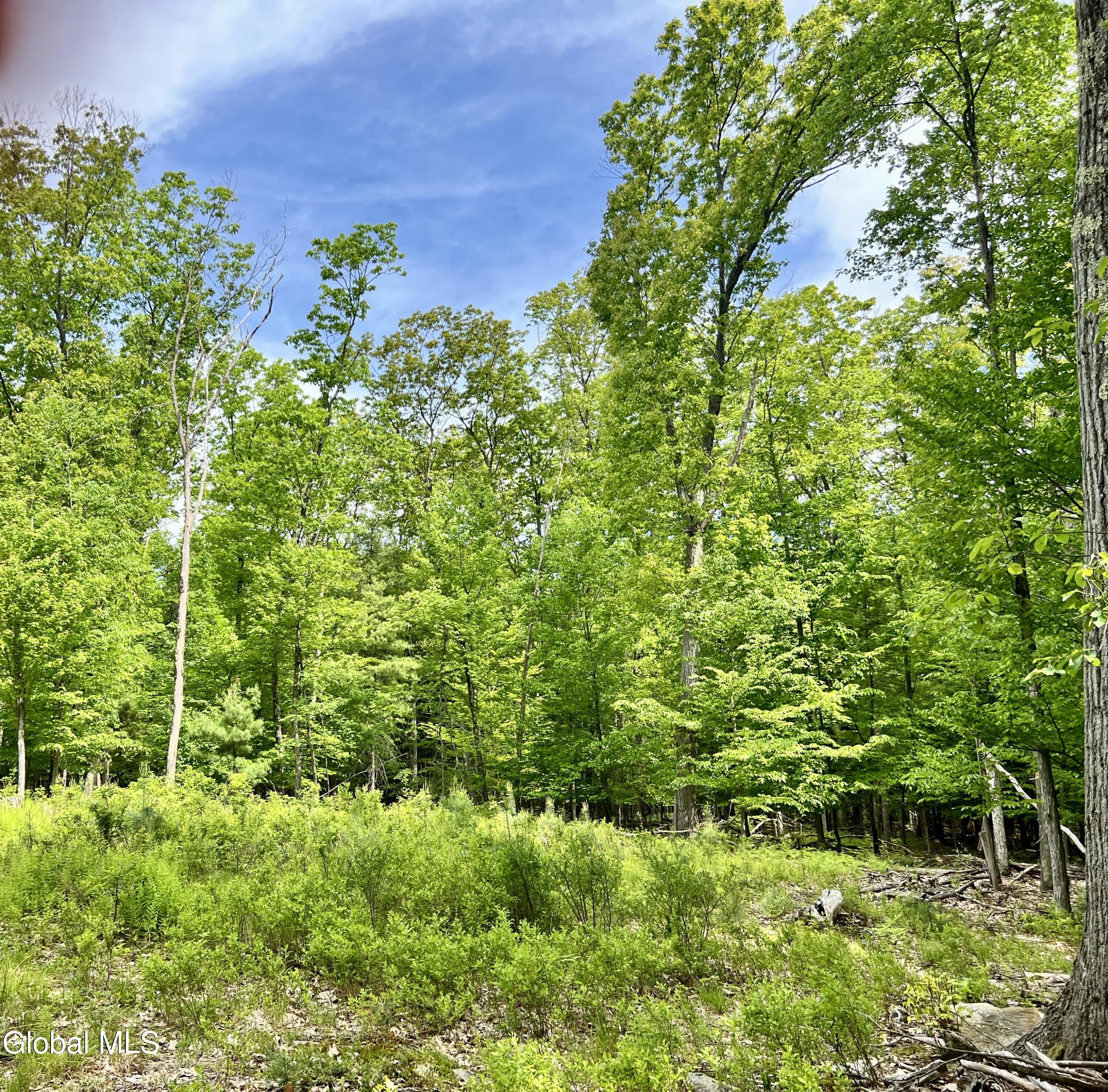 25 Catlin Road Averill Park NY 12018