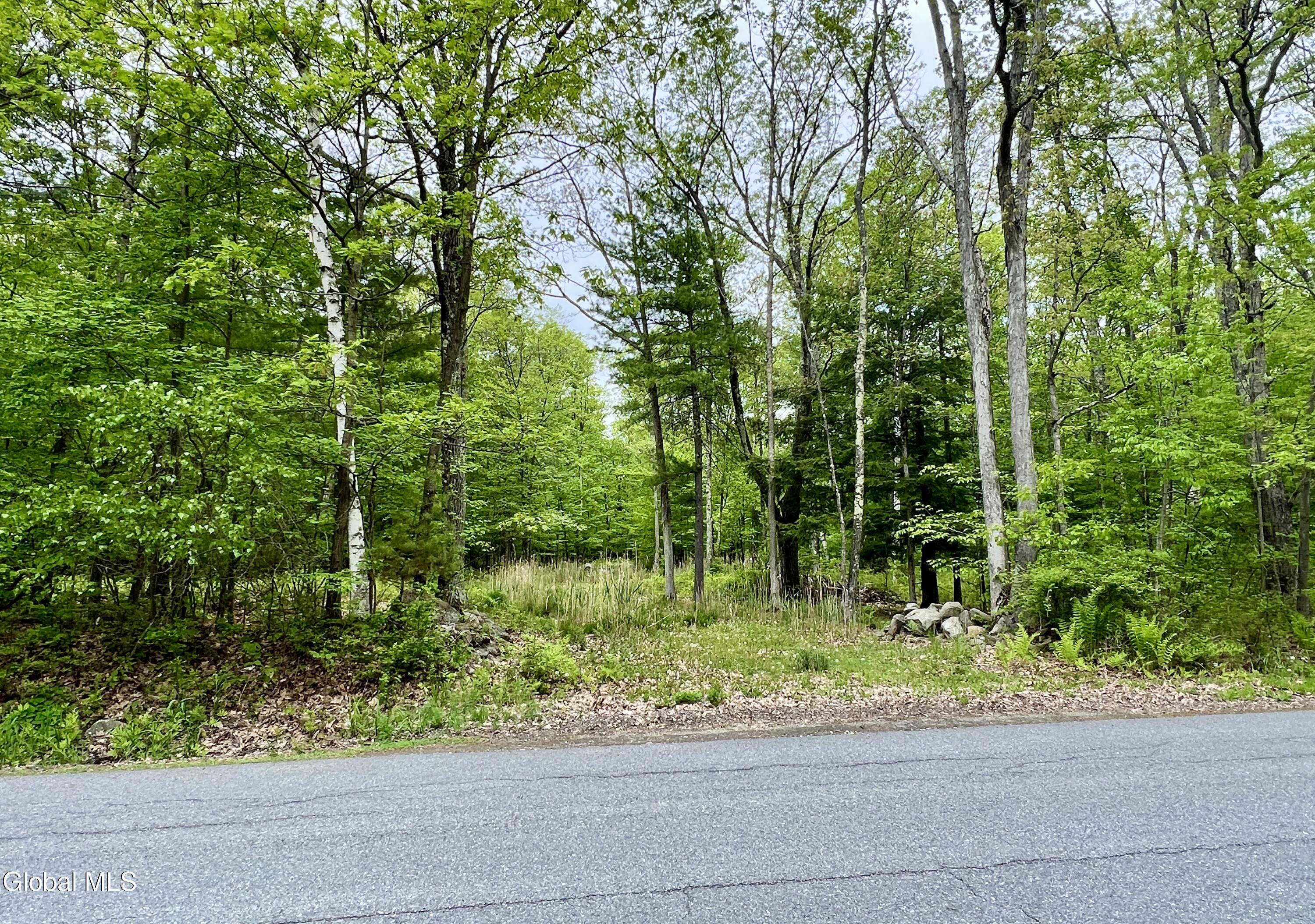 25 Catlin Road Averill Park NY 12018