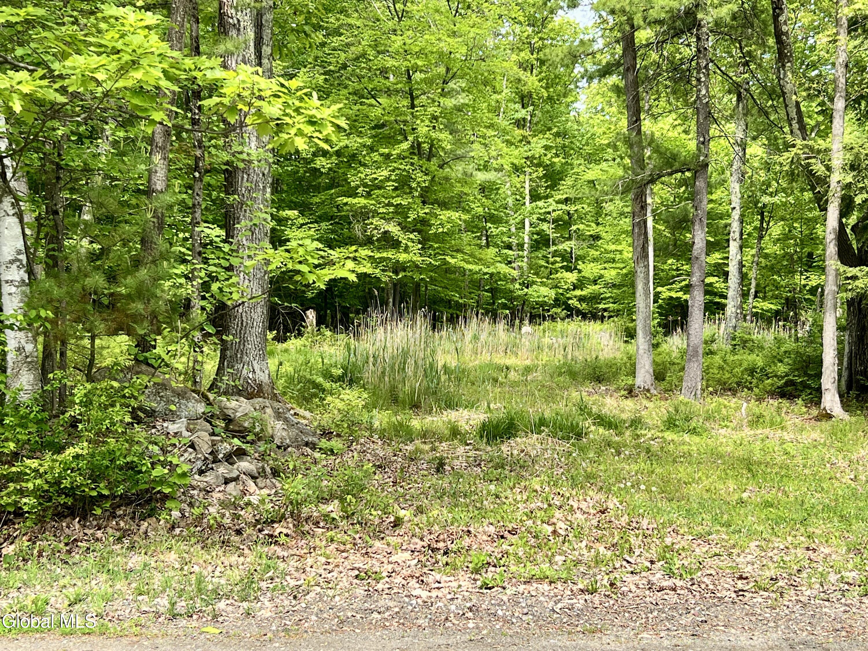25 Catlin Road Averill Park NY 12018