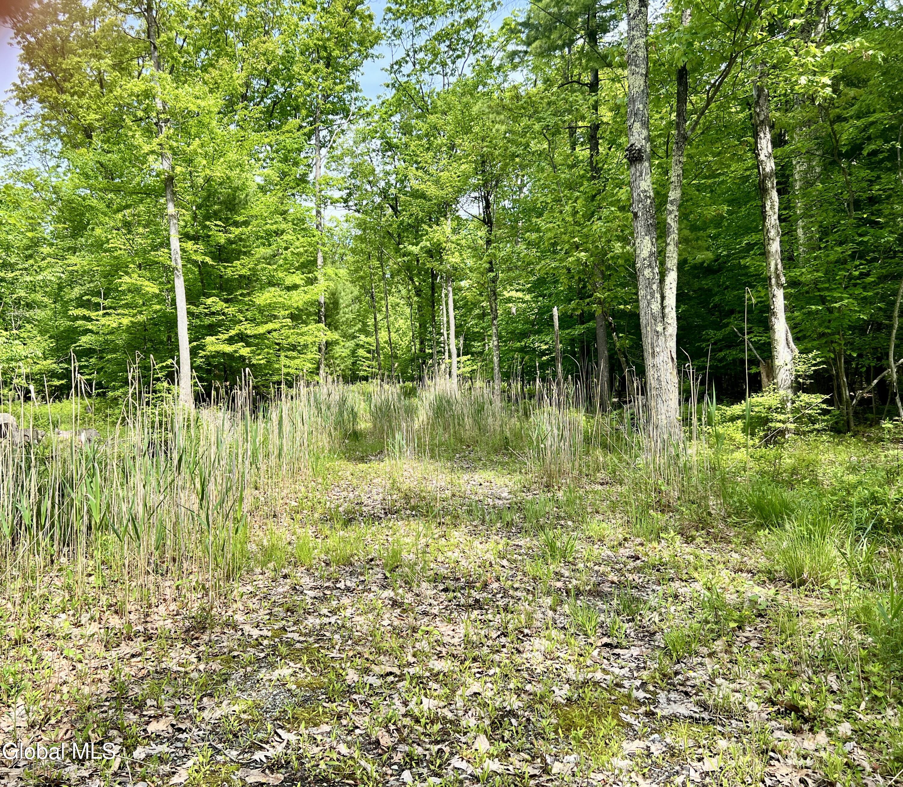 25 Catlin Road Averill Park NY 12018