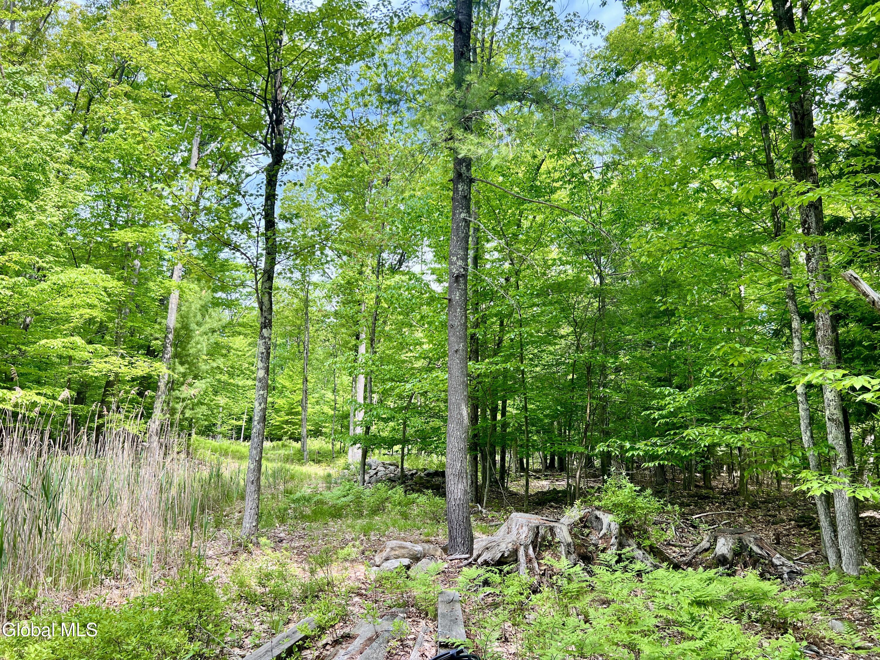 25 Catlin Road Averill Park NY 12018