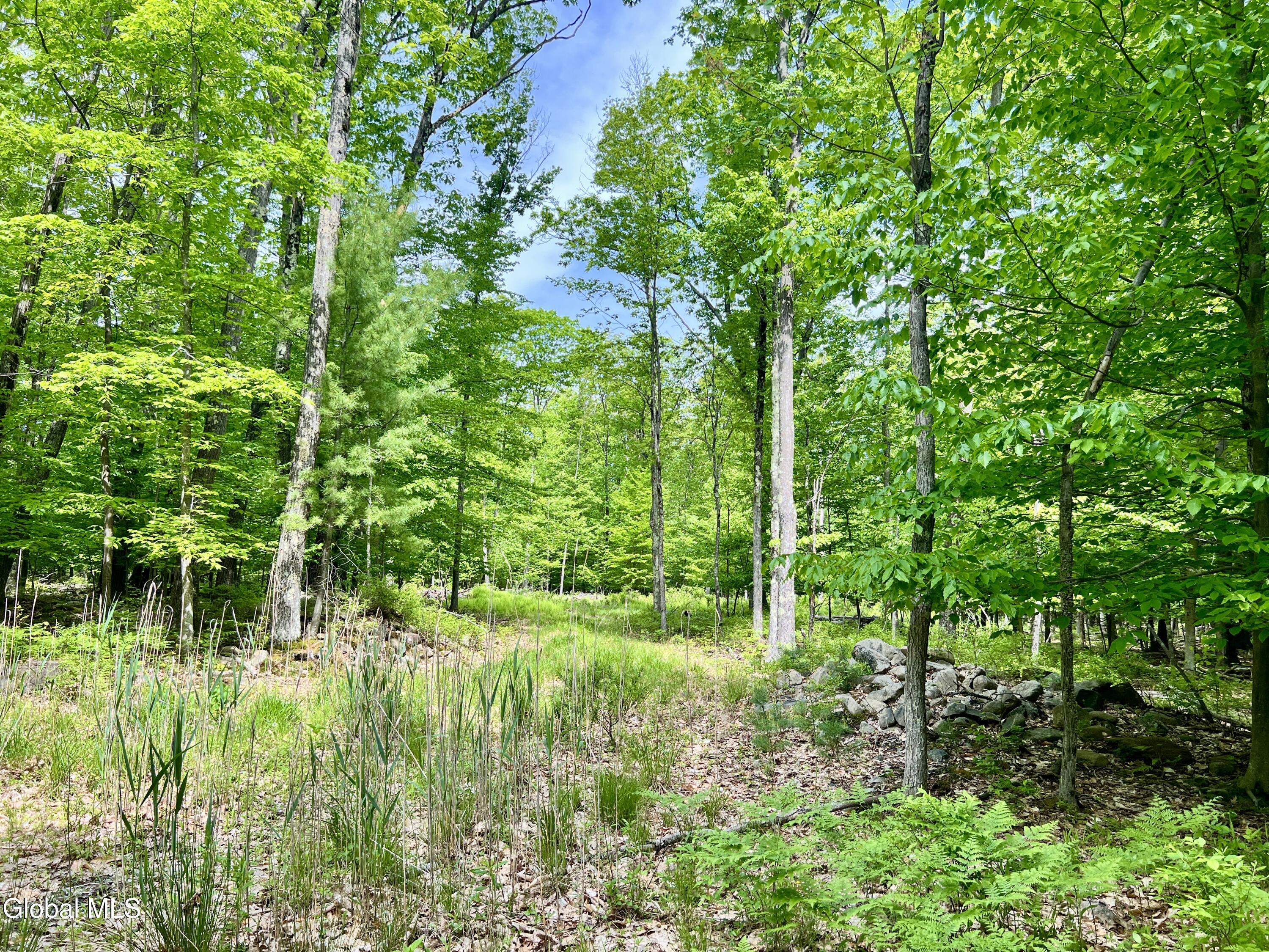 25 Catlin Road Averill Park NY 12018