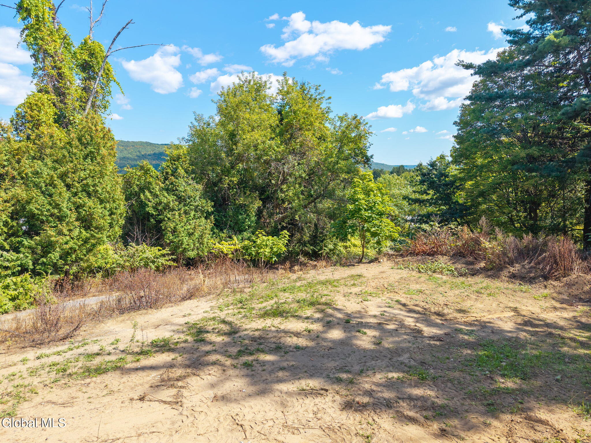 3661 Scotch Church Road Pattersonville NY 12137