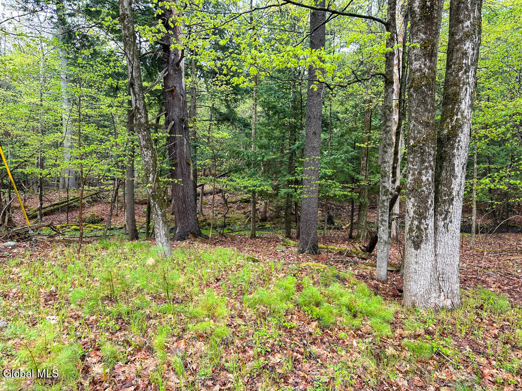 L59 Pilot Knob Road Kattskill Bay NY 12844
