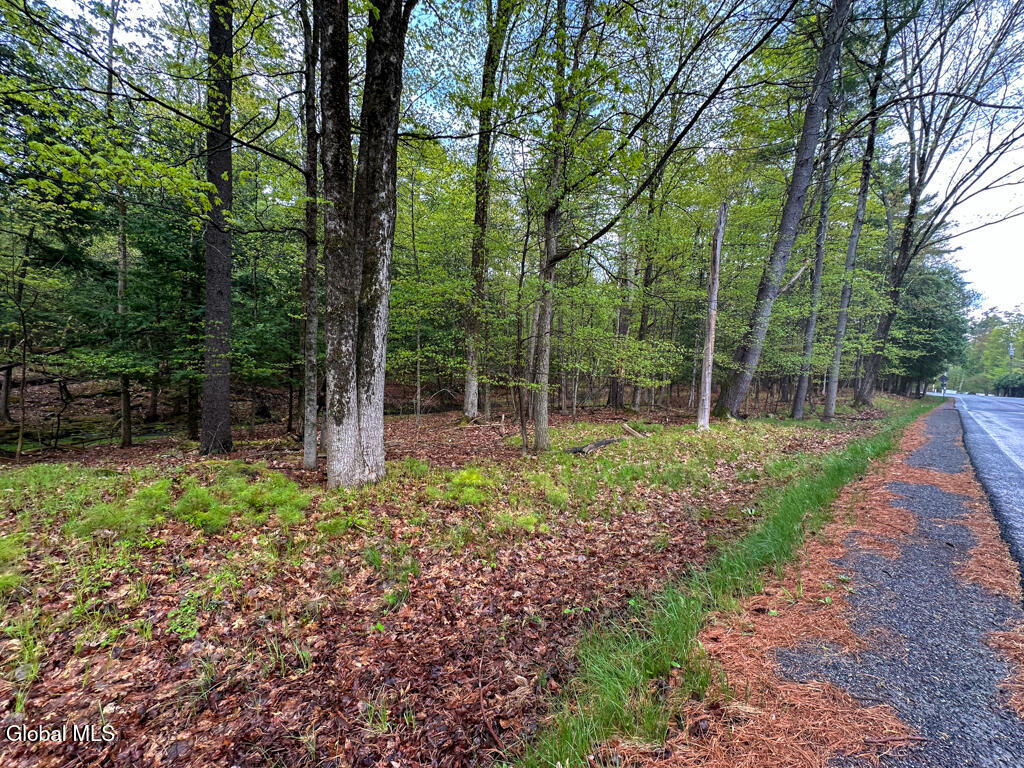 L59 Pilot Knob Road Kattskill Bay NY 12844