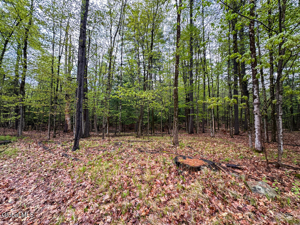 L59 Pilot Knob Road Kattskill Bay NY 12844