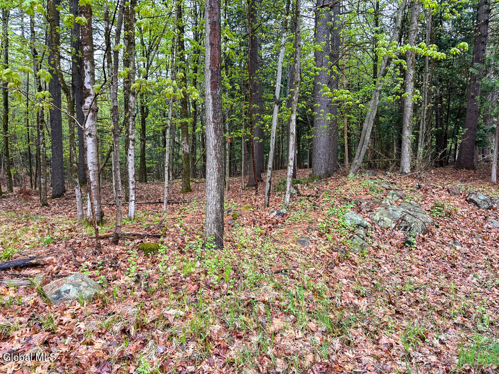 L59 Pilot Knob Road Kattskill Bay NY 12844