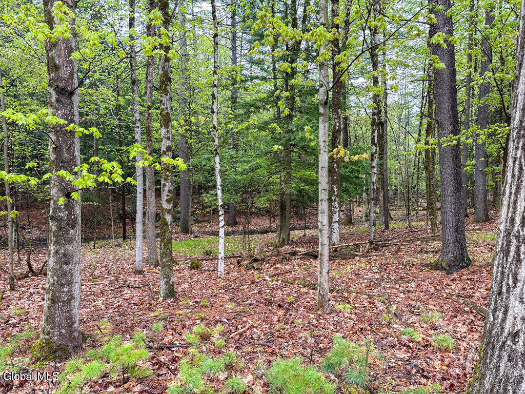 L59 Pilot Knob Road Kattskill Bay NY 12844