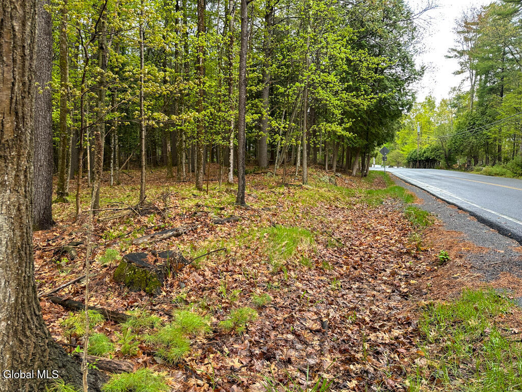 L59 Pilot Knob Road Kattskill Bay NY 12844