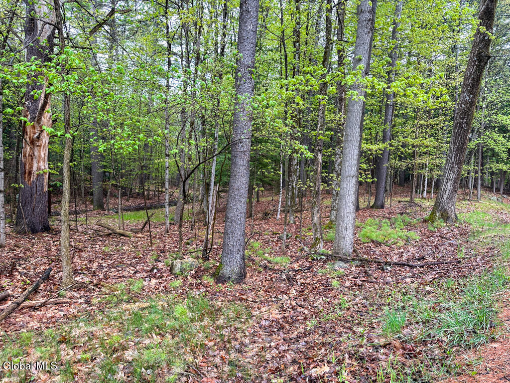 L59 Pilot Knob Road Kattskill Bay NY 12844