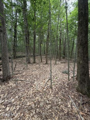 L184 Black River Road Stephentown NY 12169