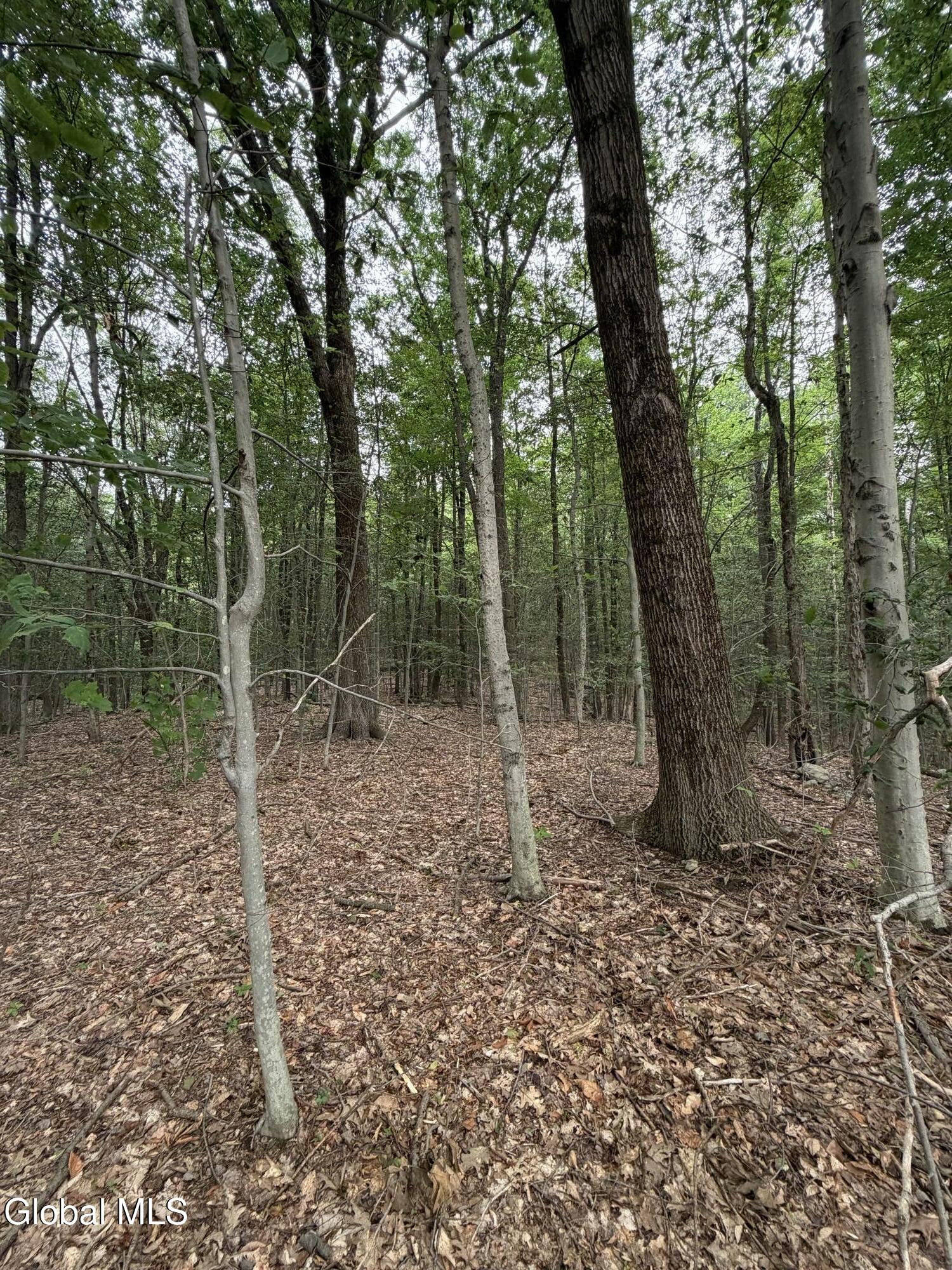 L184 Black River Road Stephentown NY 12169