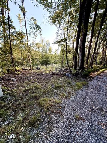 336 Dickinson Hill Road Bolton NY 12824