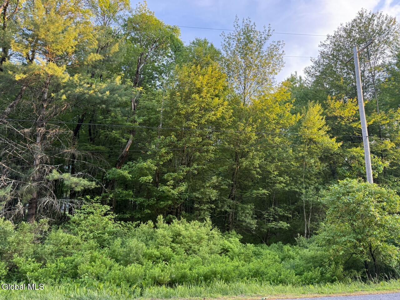 107 Scout Road Wilton NY 12831