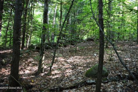 L3.5 Parker Road Corinth NY 12835