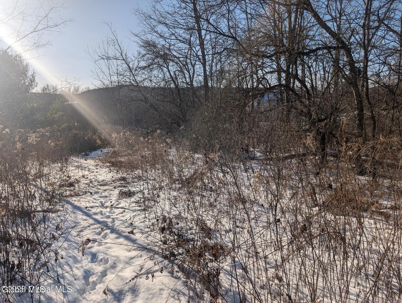 L.9 Mountain View Way Hoosick Falls NY 12090