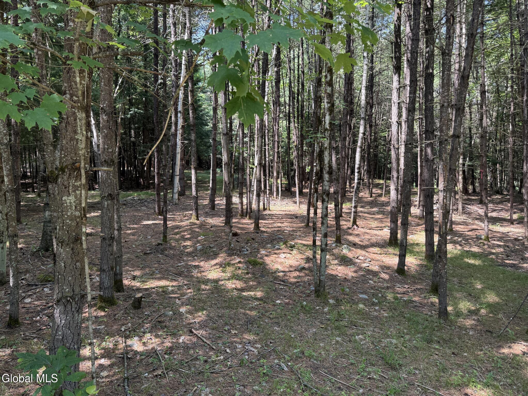 45 Hidden Valley Road Lake Luzerne NY 12846