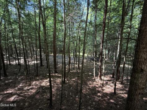 45 Hidden Valley Road Lake Luzerne NY 12846
