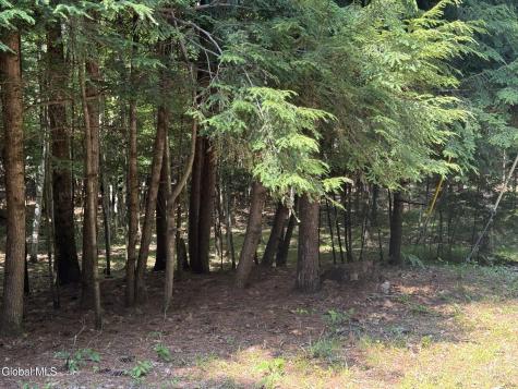 45 Hidden Valley Road Lake Luzerne NY 12846