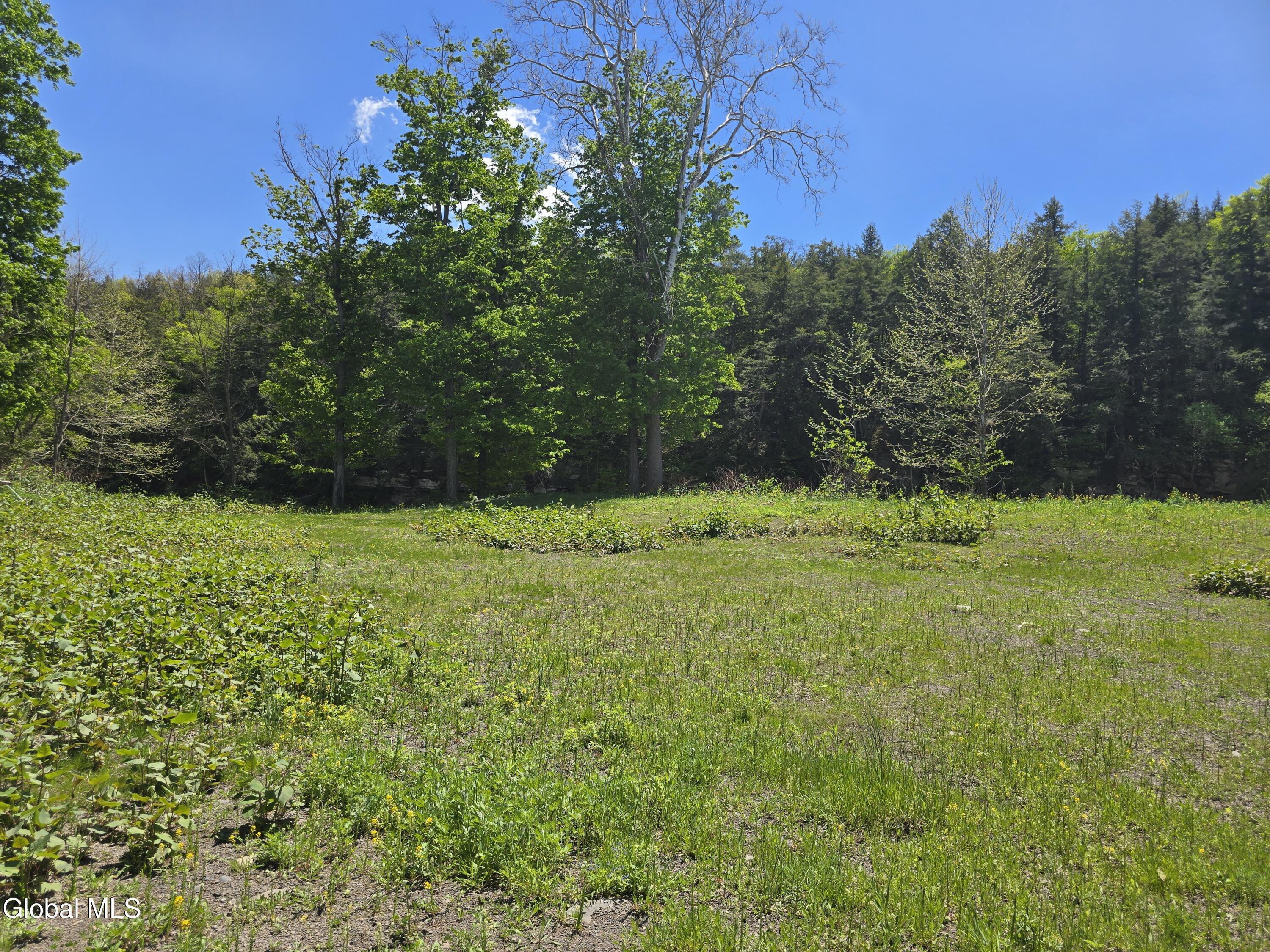 7143 New York 81 East Durham NY 12423