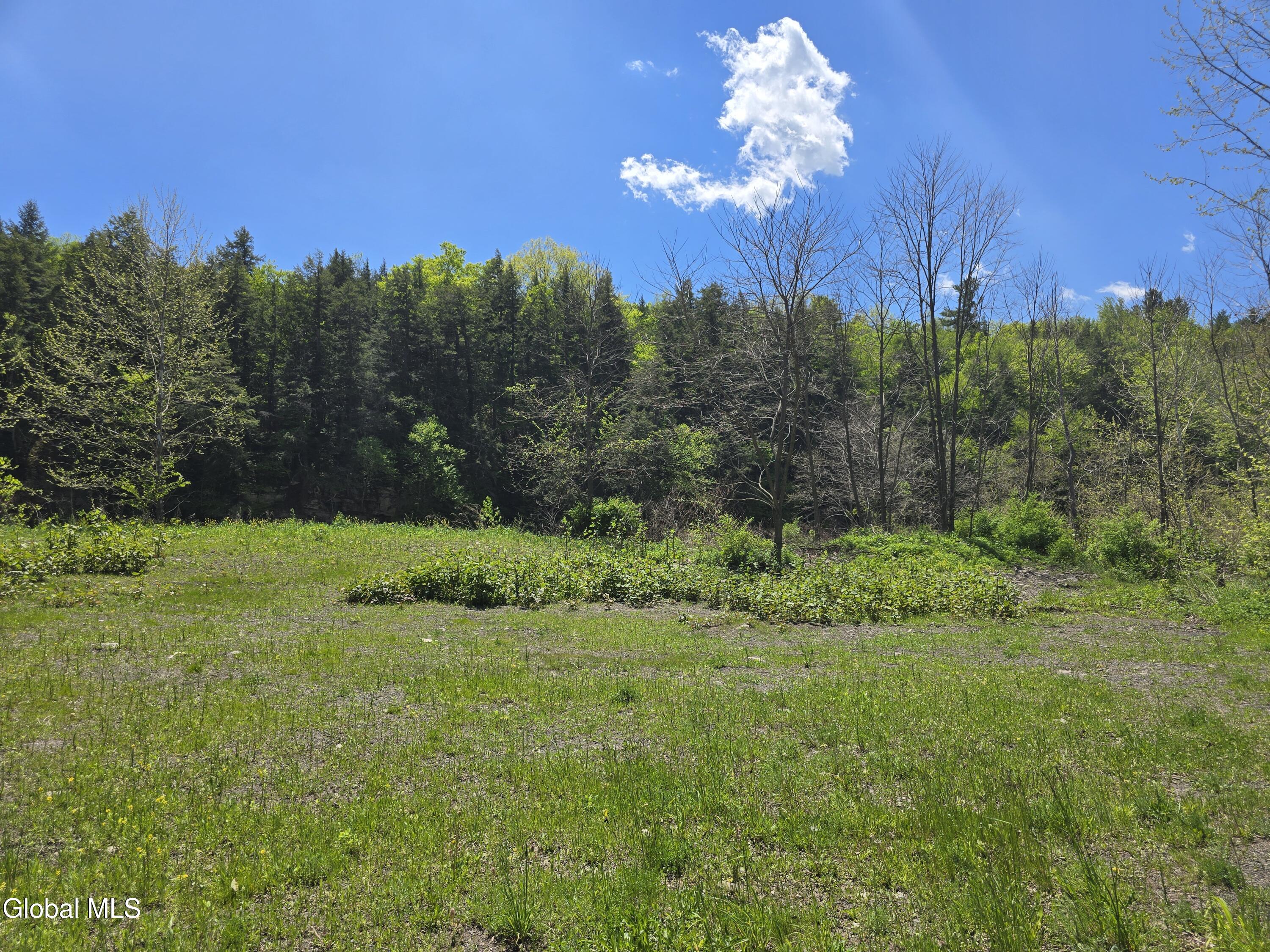 7143 New York 81 East Durham NY 12423