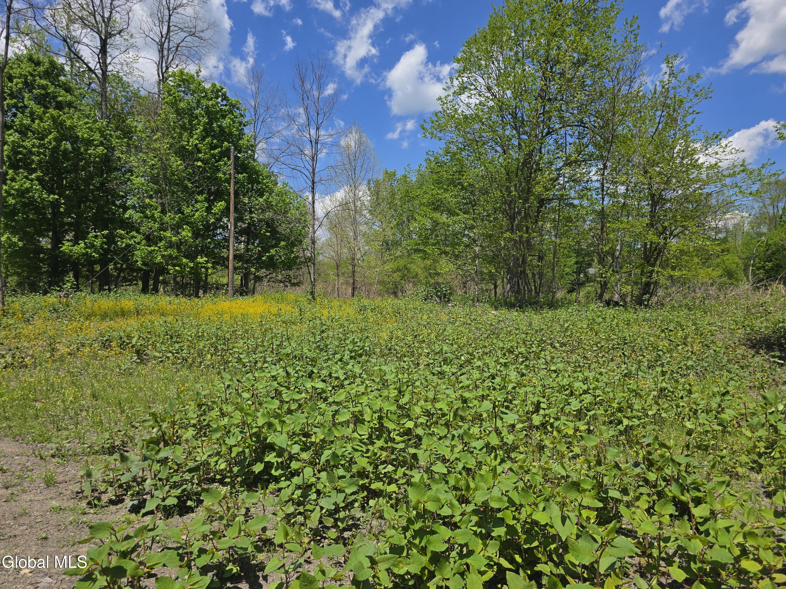 7143 New York 81 East Durham NY 12423