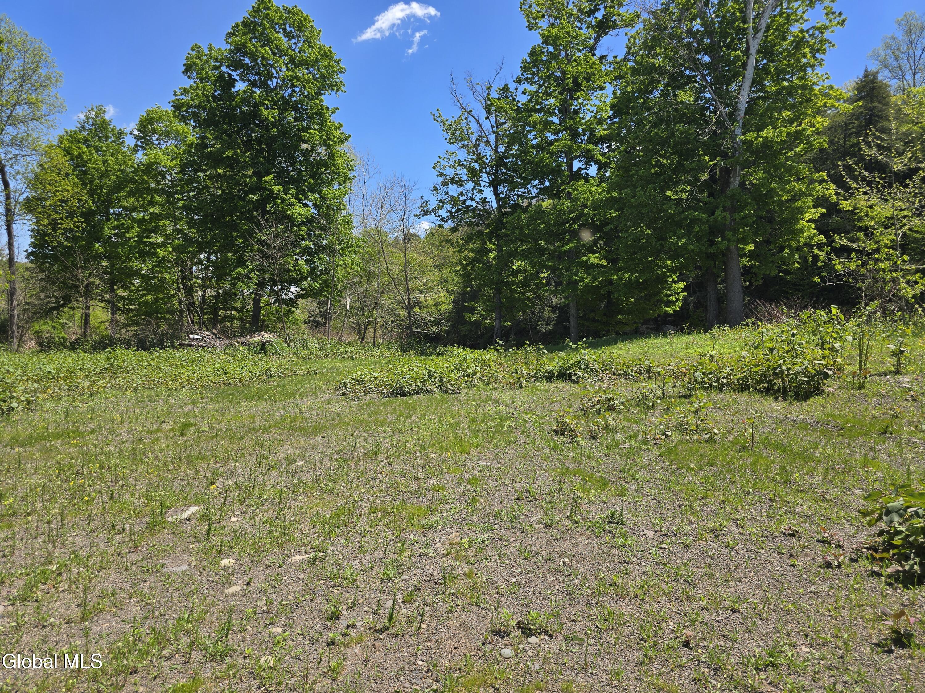 7143 New York 81 East Durham NY 12423
