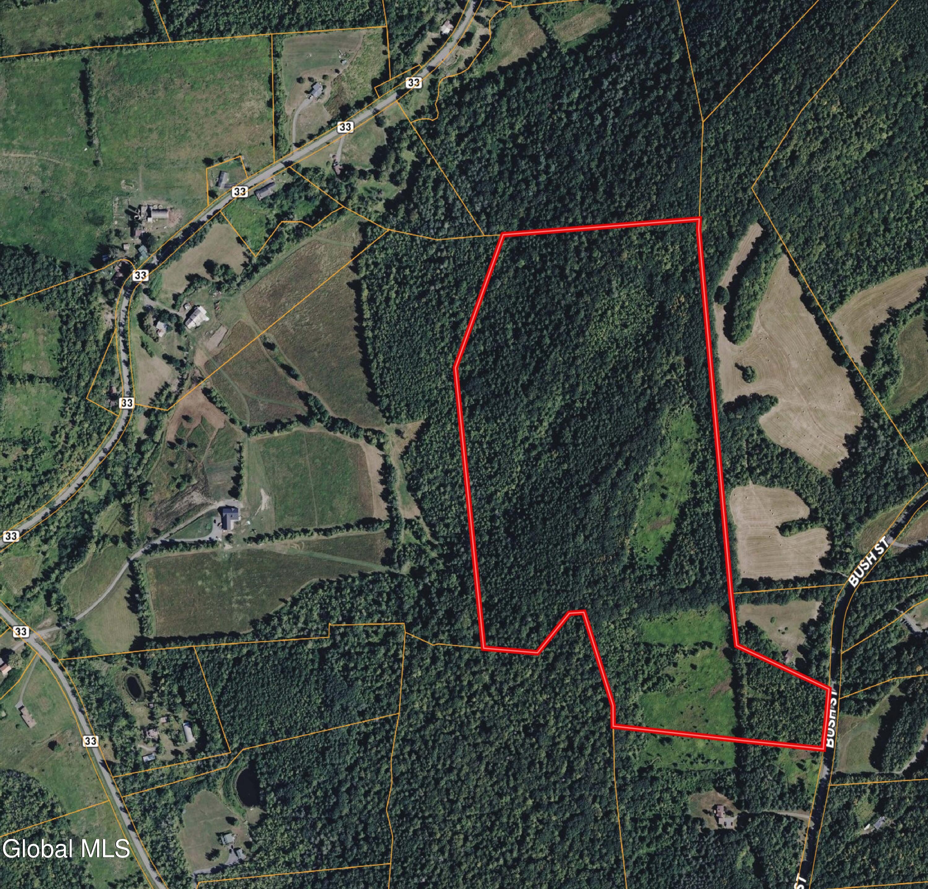 L16 Bush Street Cobleskill NY 12043