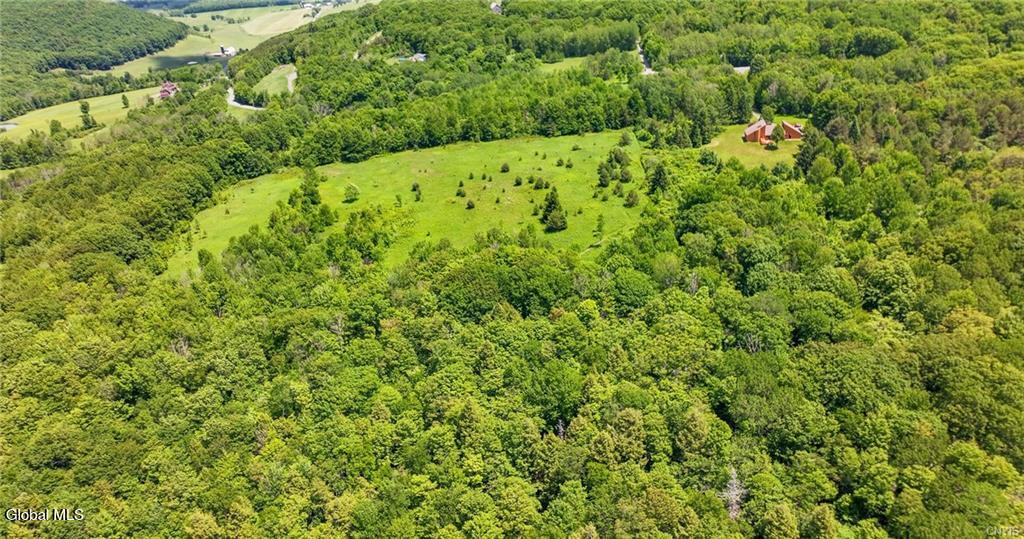 L16 Bush Street Cobleskill NY 12043