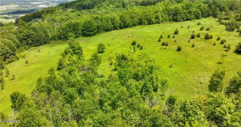 L16 Bush Street Cobleskill NY 12043